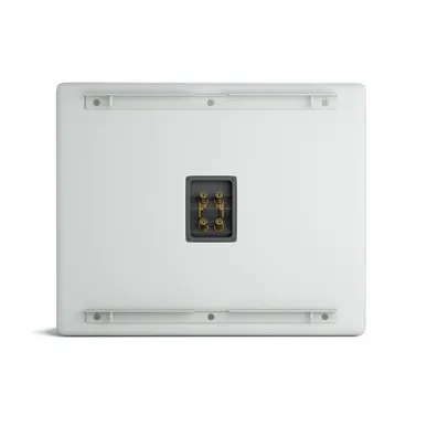 Cабвуфер CVGAUDIO SUBONE MODEL B-8/W